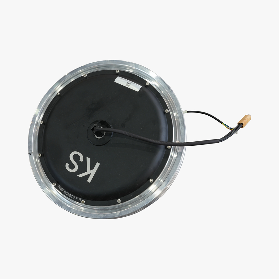 16XS Motor
